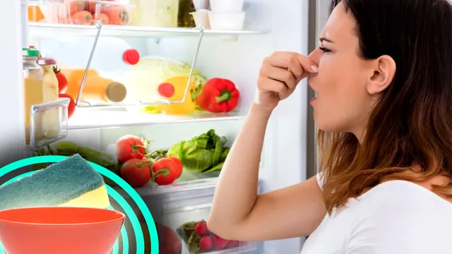 Trucul extraordinar care elimină mirosul urât din frigider. Cum trebuie să procedezi, cele două ingrediente ieftine care sunt de mare ajutor
