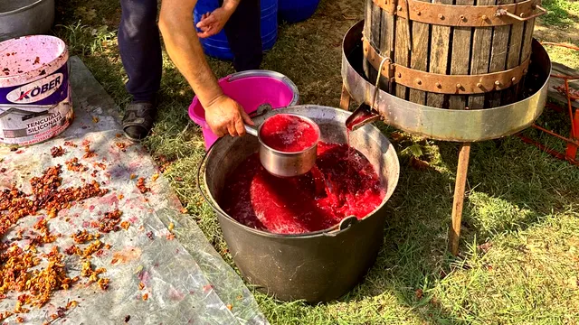 Când se culeg strugurii pentru vin, de fapt. Momentul potrivit pentru recoltare