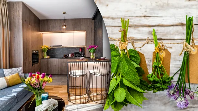 Planta aromată pe care să o ai neapărat în casă. Atrage bogăția ca un magnet, e mai eficientă decât dafinul și rozmarinul