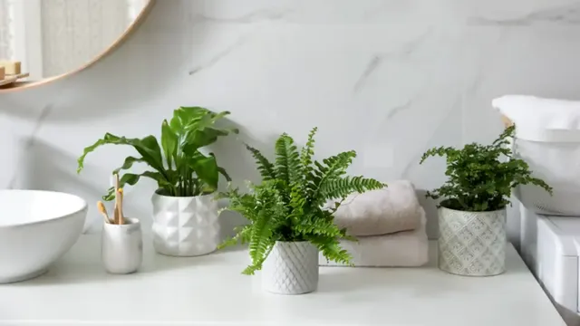 7 plante ideale pentru baie. Rezistă fără nicio problemă la umiditate, dau culoare locului