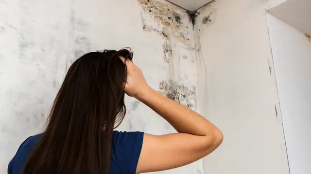Metoda nebănuită care te scapă definitiv de mucegaiul din baie. La aceste două ingrediente nu te-ai fi gândit niciodată