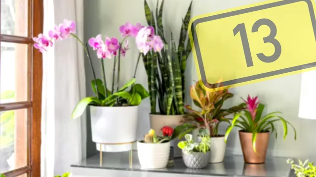 5 flori pe care să nu le ții sub nicio formă în casă. Atrag ghinionul