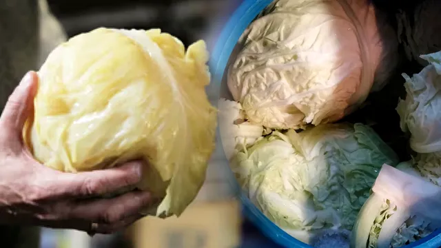 Ce să adaugi în butoiul cu varza murată pentru a-i da culoare. Ingredientul care nu trebuie să lipsească, trucuri de la gospodinele iscusite