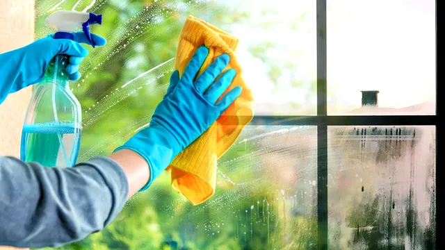 Ce să pulverizezi pe geamuri ca să scapi de urmele de la insecte și alte pete. Trucul formidabil