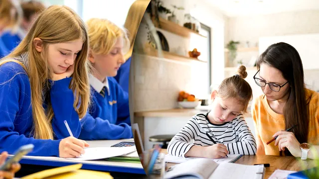 Este legal homeschooling-ul în România? Care sunt principalele avantaje și dezavantaje și ce se întâmplă cu copiii care învață acasă