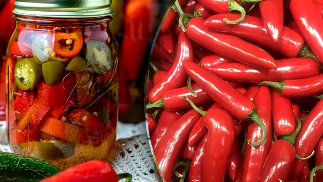 Ingredientul secret pe care îl pun bucătarii de top în borcanele cu ardei iuți. Așa rămân tari și crocanți toată iarna