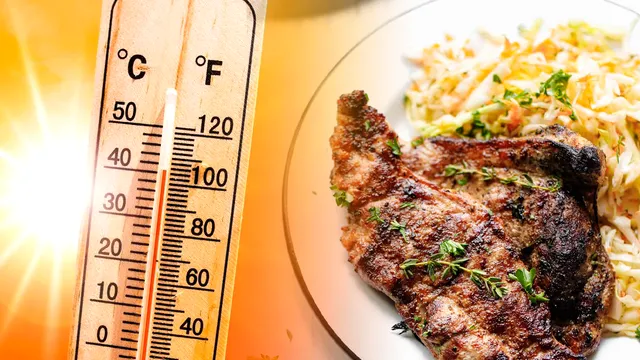 La câte grade se face friptura de porc. Ce să faci cu carnea înainte de a o pune pe foc, așa va ieși fragedă și suculentă
