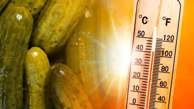 La ce temperatură trebuie să stea murăturile în cămară, de fapt. Greșeala care le face să se strice rapid