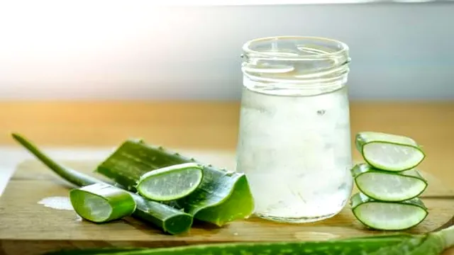 De ce să ții aloe vera în casă. 5 motive care îți vor schimba viața