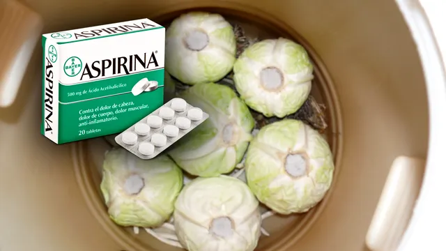 Câtă aspirină se pune la varza murată. Așa știi sigur că rezistă toată iarna și nu se strică