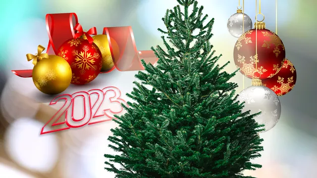 Cum decorăm bradul de Crăciun în 2023. Ce culori sunt la modă anul acesta