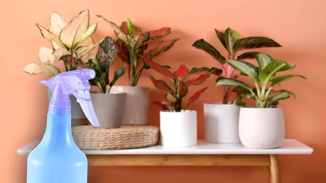 Amestecul din două ingrediente cu care să stropești florile din casă. Efect uluitor, vor înflori spectaculos