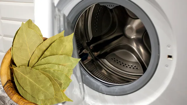 Ce se întâmplă dacă pui frunze de dafin în mașina de spălat. Trucul are efecte nebănuite