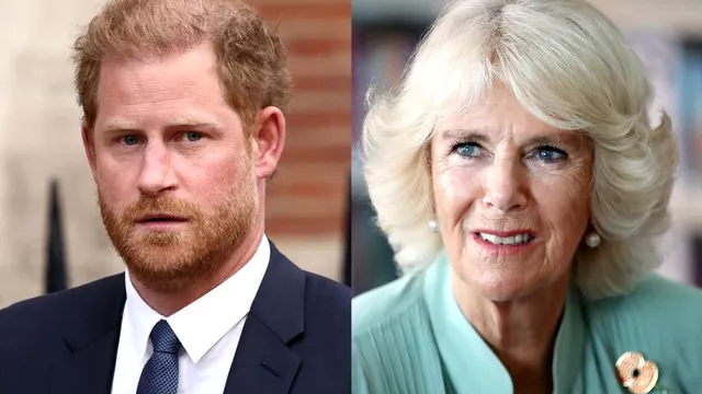 De ce a refuzat Prințul Harry să stea în aceeași cameră cu Regina Camilla. Ce se întâmplă de fapt între cei doi