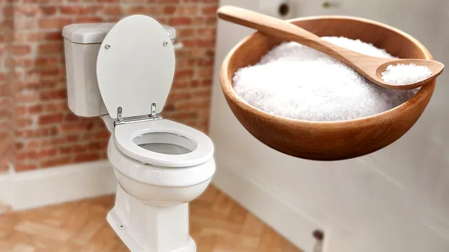 De ce multe gospodine pun sare în toaletă. Trucul e genial, îl vei folosi mereu