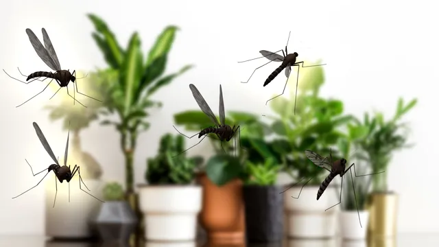 10 plante de apartament care țin la distanță muștele și țânțarii. Scapi de problema insectelor dacă le ai în casă