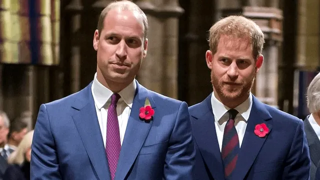 De cât timp nu își mai vorbesc fiii prințesei Diana. William și Harry, excepția de a Casa Regală a Marii Britanii