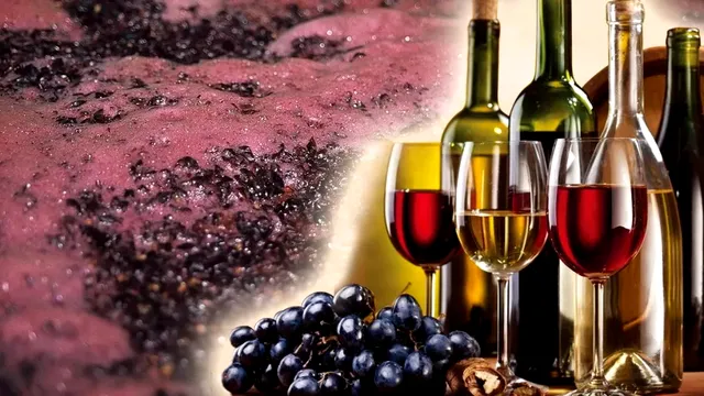 La ce temperatură fermentează vinul? Cât trebuie să dureze procesul de fermentare, în mod normal?