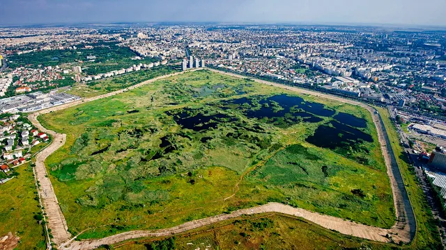 Ce este Delta Văcărești și de ce sunt incendii, periodic, în acest loc din București
