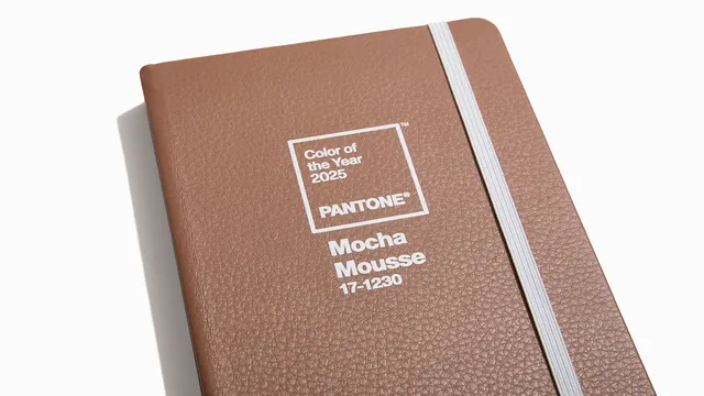 Care este culoarea anului 2025. Ce spune Institutul Pantone despre Mocha Mousse