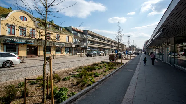 Cum arată Älmhult, orașul suedez de unde vine Ikea. Câte magazine ale companiei sunt în România