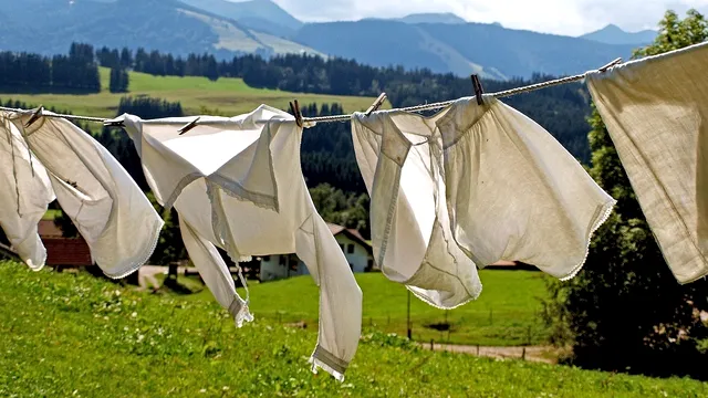 De ce nu este bine să îți usuci hainele afară? 6 motive care te vor convinge să-ți schimbi obiceiul