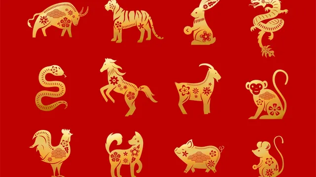 Horoscop chinezesc zilnic, 11 decembrie, miercuri – Energia semnelor și ce îți rezervă ziua