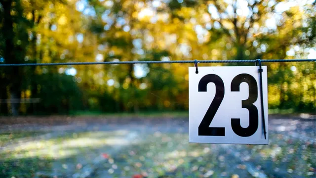 Previziuni numerologice zilnice, 23 ianuarie, joi – Ce vibrație energetică îți ghidează pașii astăzi