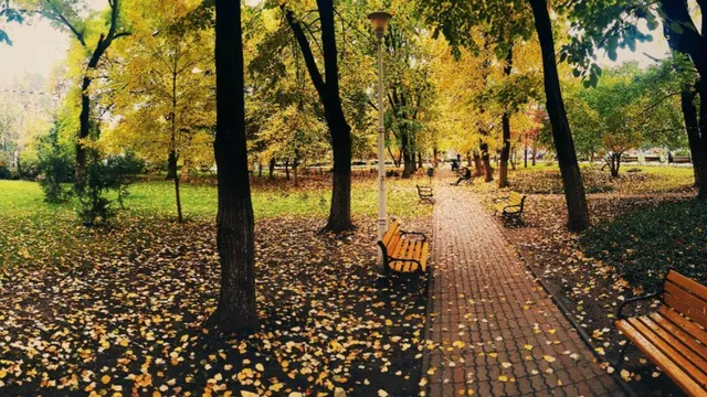Tragedie în Parcul Tei: O tânără a născut în ger, sub cerul liber, dar bebelușul nu a supraviețuit