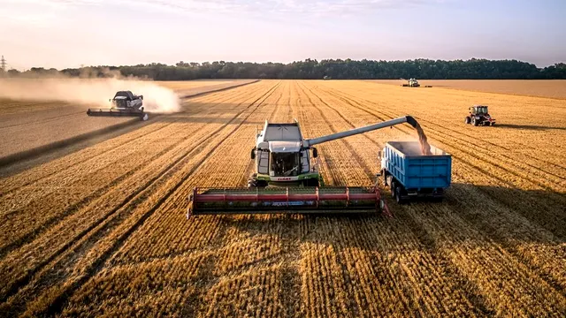 Agricultura regenerativă, soluția viitorului. Cum poate schimba producția de alimente