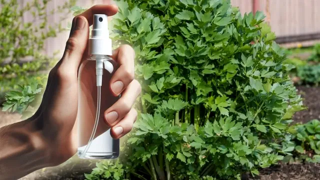 Cum poți elimina coropișnițele din grădină? Un fermier dezvăluie metoda sa eficientă