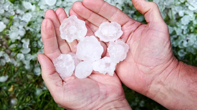 Grindină masivă a lovit România în luna mai. Zone acoperite de gheață și copaci smulși din rădăcini