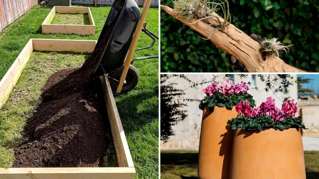 Trei proiecte simple de grădinărit pentru oricine, cu spațiu mic sau mare