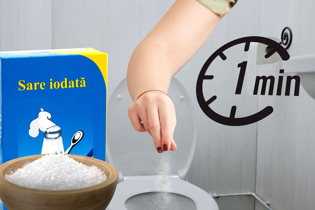 Ingredientul banal pe care sa-l pui in toaleta