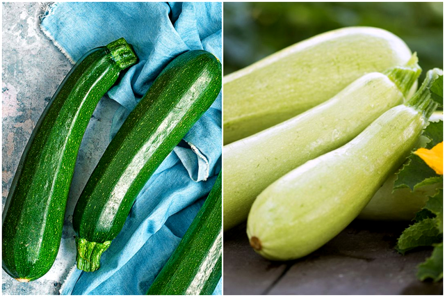 Care este diferența dintre dovlecei și zucchini