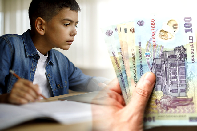 Ce este bursa de merit și cum se acordă