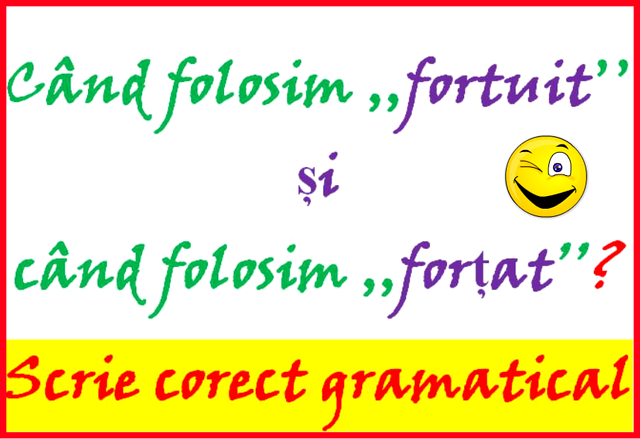 Ce înseamnă fortuit