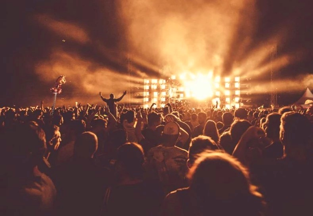Analogue Festival 2022