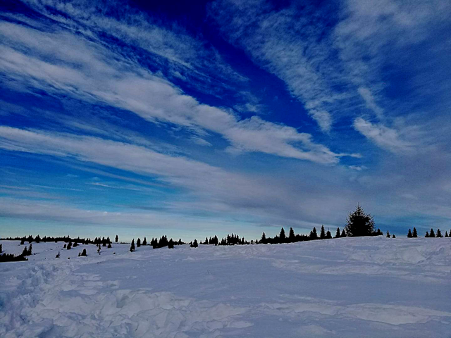 Păltiniș este locul spectaculos din România unde altitudinea este de 1442 de metri