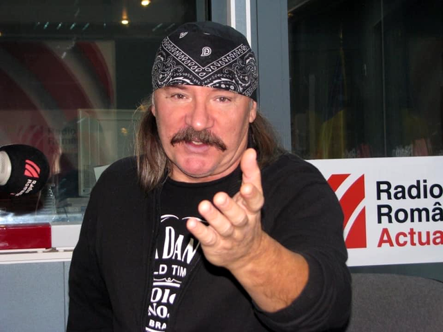 Vasile Șeicaru