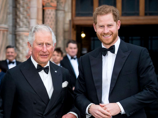 Regele Charles si Printul Harry