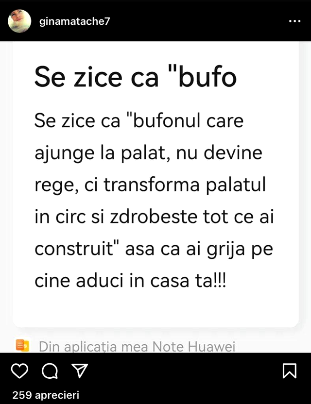 Gina Matache, un nou atac la adresa iubitului fiicei sale