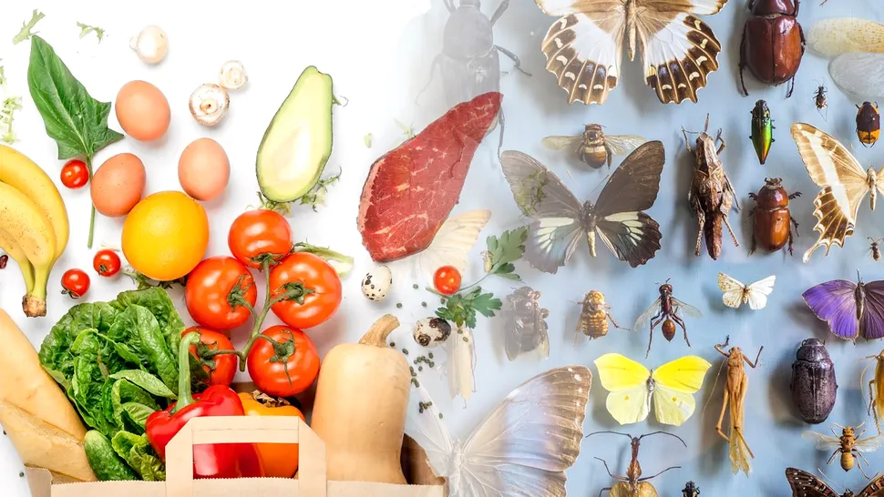 Alimentul banal care alungă insectele din casă. Metoda virală