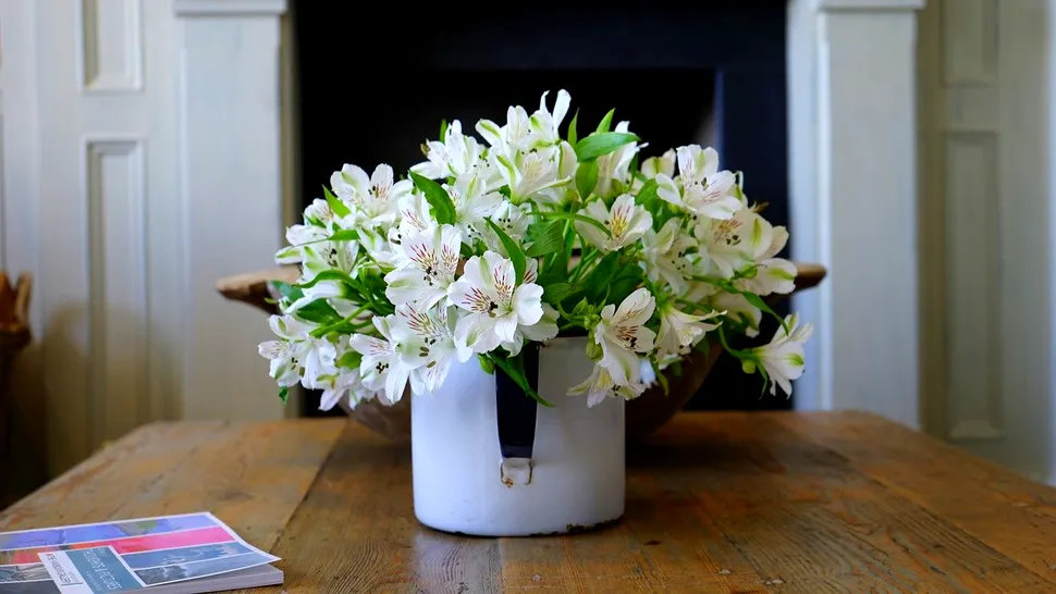 Ingredientul secret care readuce la viaţă florile ofilite. Ce trebuie să pui în pământul lor