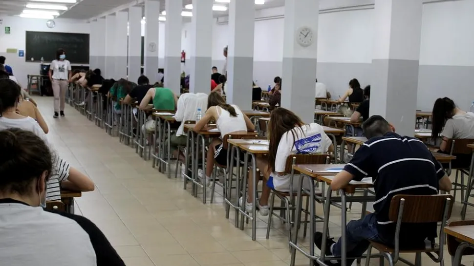 Subiecte Evaluarea Națională 2022. Ce subiecte au picat la Limba română