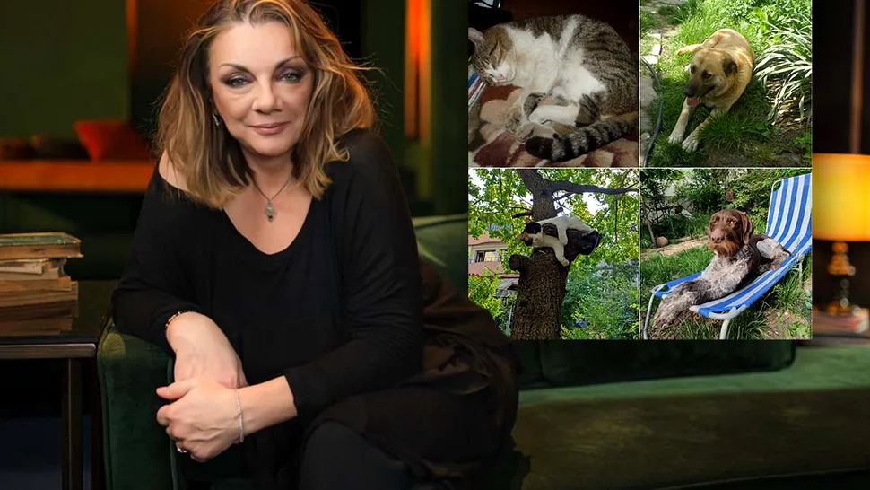 Carmen Tănase speră să se monetizeze Tik Tok-ul și în România. Ce vrea să facă actrița cu banii: „În loc să mă plimb la Monaco aș vrea să fac asta” VIDEO EXCLUSV