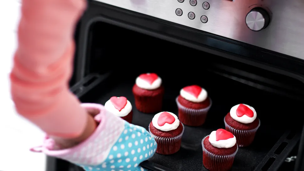 Când se folosește ventilația la cuptorul electric. Detaliul important de știut