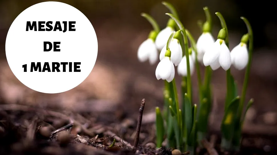 Mesaje de 1 Martie 2023. Urări și felicitări frumoase de Mărțișor