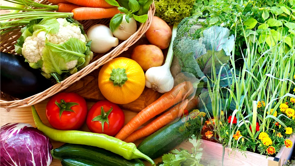 Legume care se plantează în iunie. Ce trebuie să faci pentru a te bucura de o grădină bogată