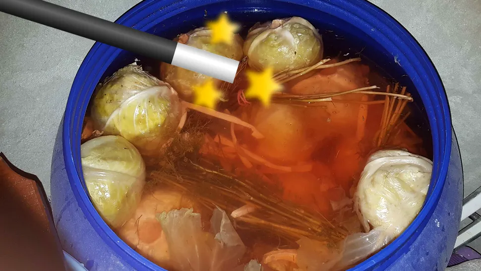 Ingredientul secret pe care să-l pui în butoiul cu varză murată. Schimbă tot gustul, maramureşencele îl folosesc de ani buni